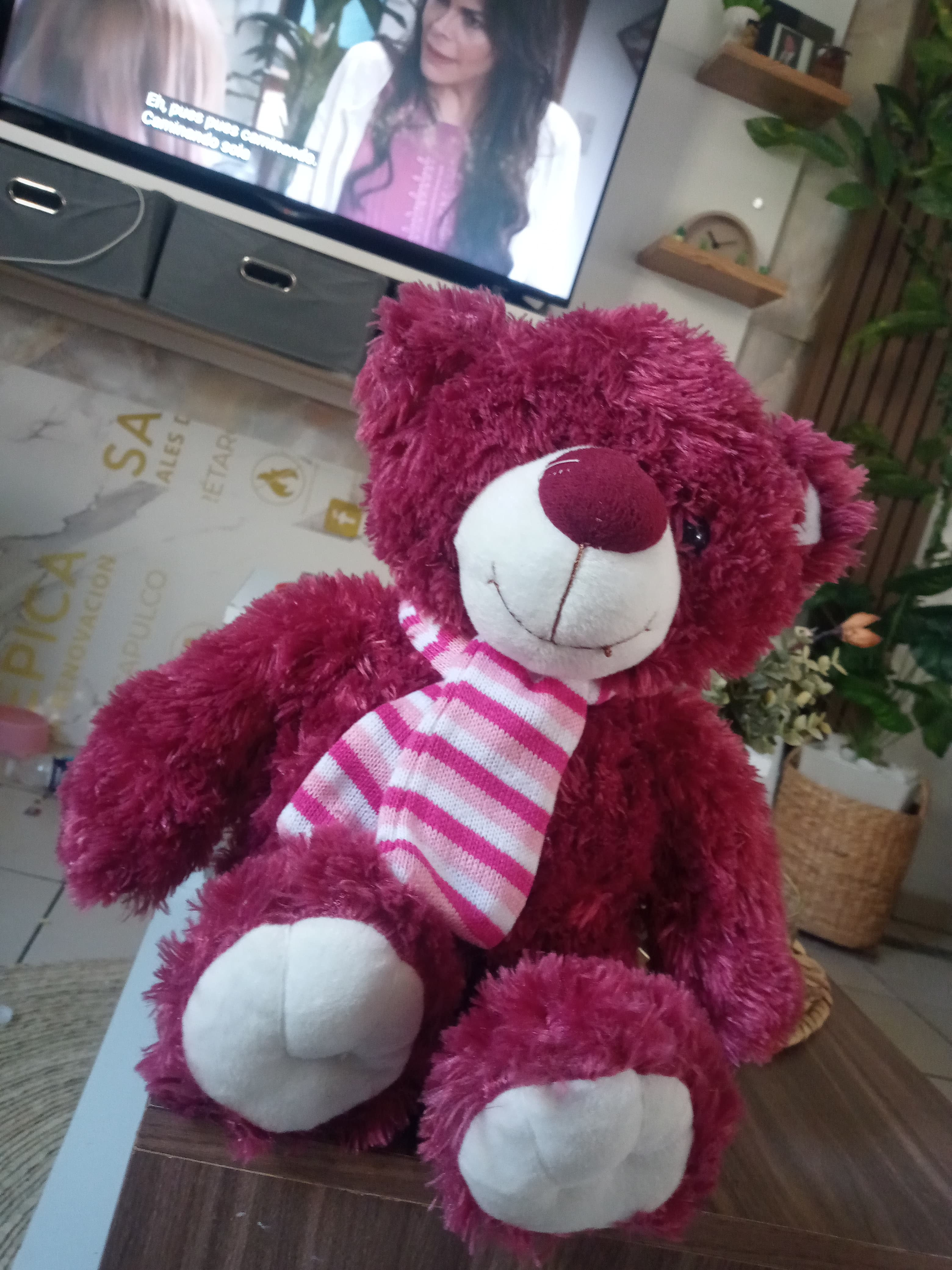 Oso de Peluche Rosa Magenta con Bufanda Rayada
